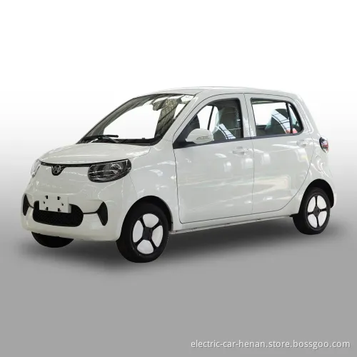 Henrey Popular Big Space Family Electric Car